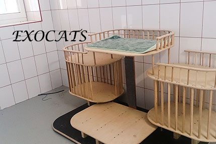 Гостиница для кошек EXOCATS - Саванна, Сервал, Чаузи.